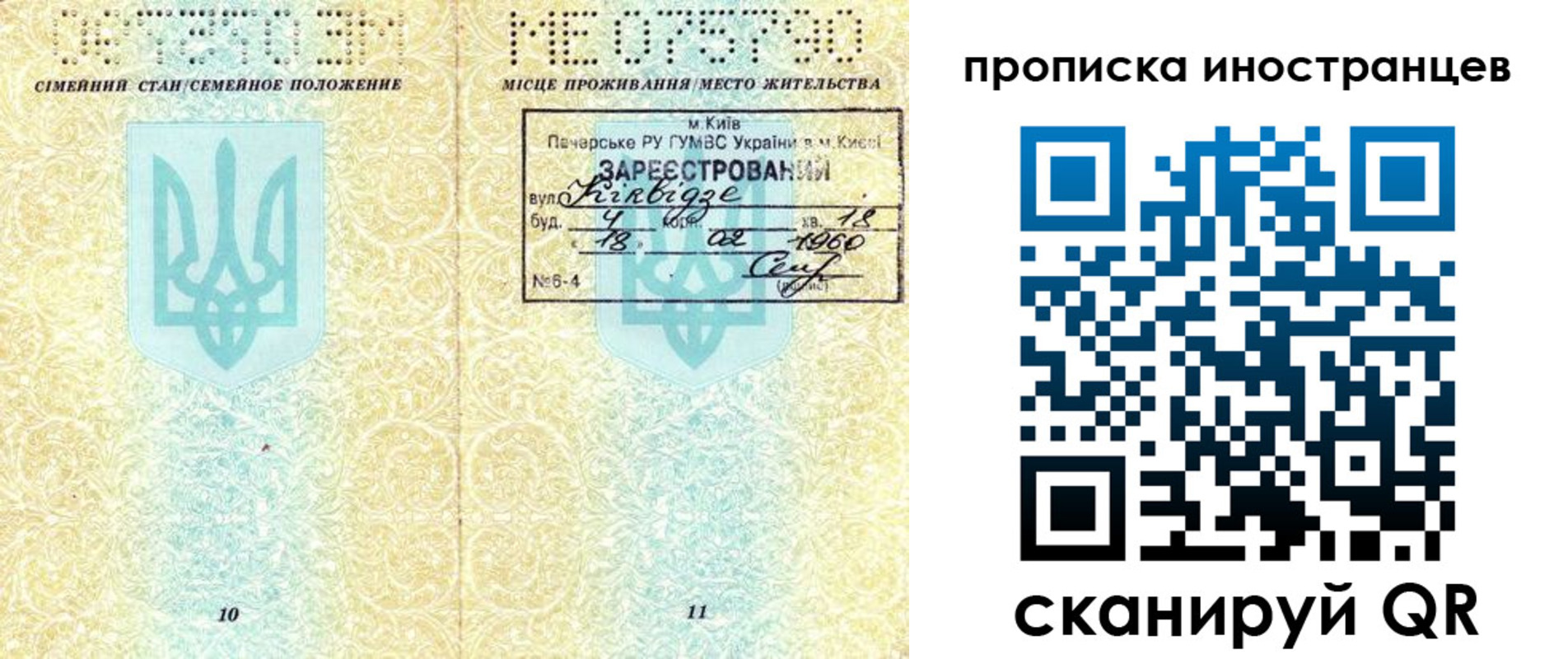 купить прописку в Мытищах